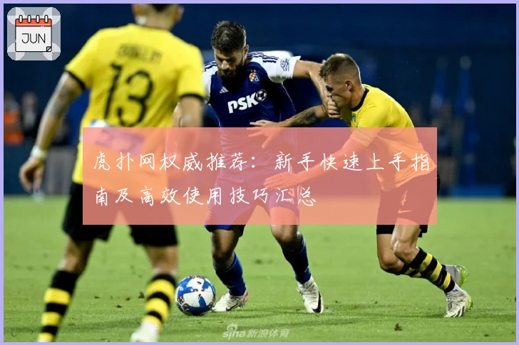 虎扑网权威推荐:新手快速上手指南及高效使用技巧汇总